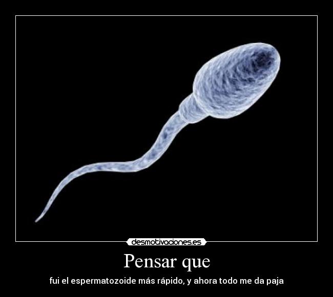 carteles todos desmotivaciones