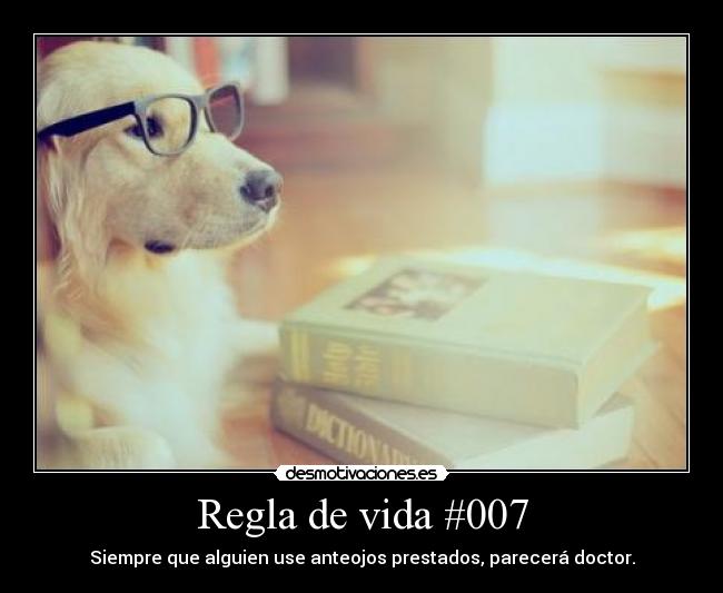 Regla de vida #007 -