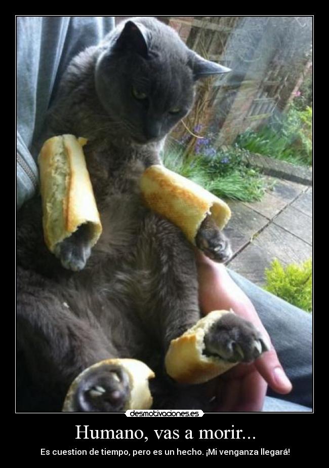 Humano, vas a morir... -