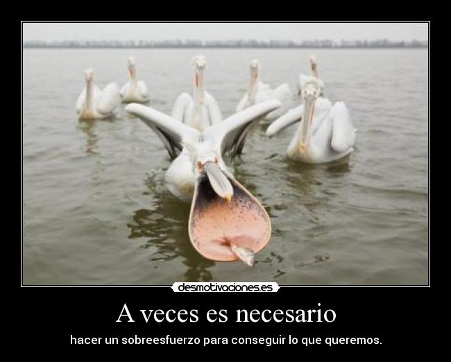 A veces es necesario -