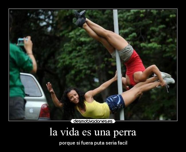 la vida es una perra - porque si fuera puta seria facil