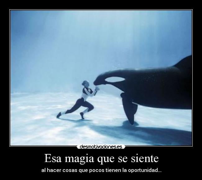 carteles supongo que siente asi vivo bajo puente acompana cucarachas son divertidas desmotivaciones