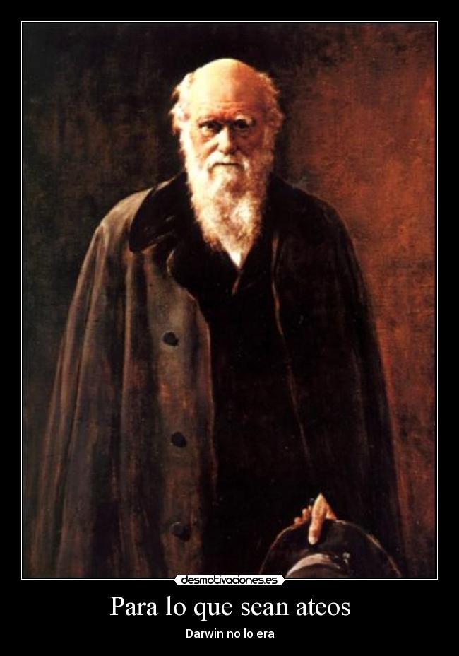 carteles secilo1 desmotivaciones