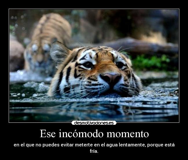 Ese incómodo momento -