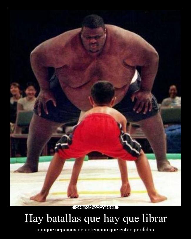 carteles rayodeluna desmotivaciones