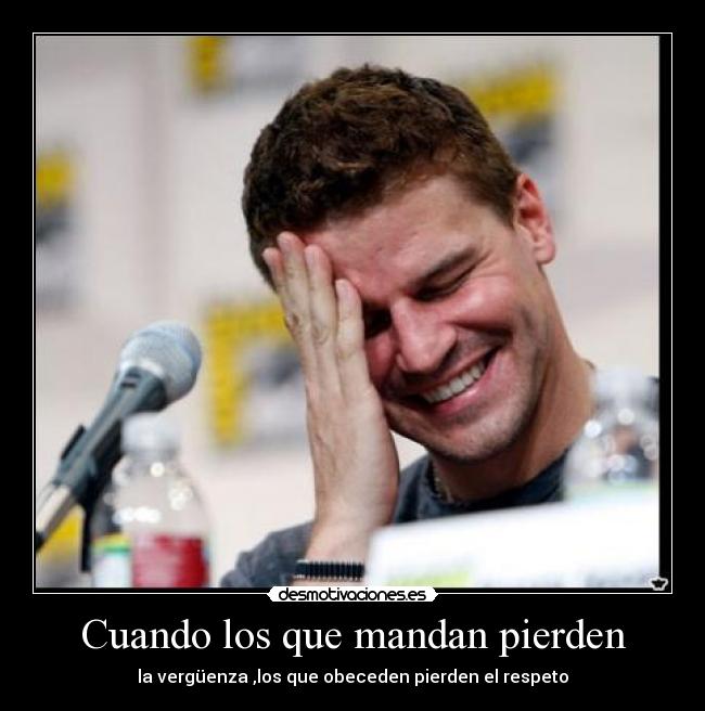 carteles bones seeley booth david boreanaz verguenza desmotivaciones