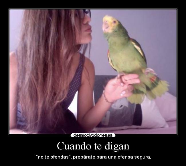 carteles ofendas preparate para una ofensa segura desmotivaciones