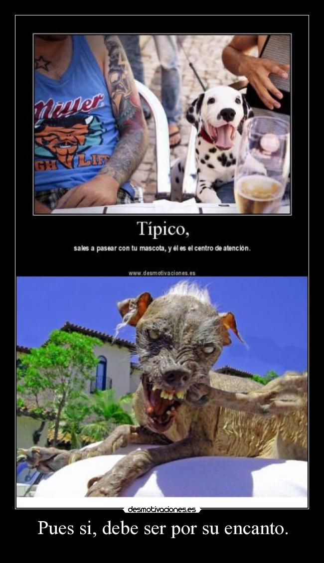 Pues si, debe ser por su encanto. -