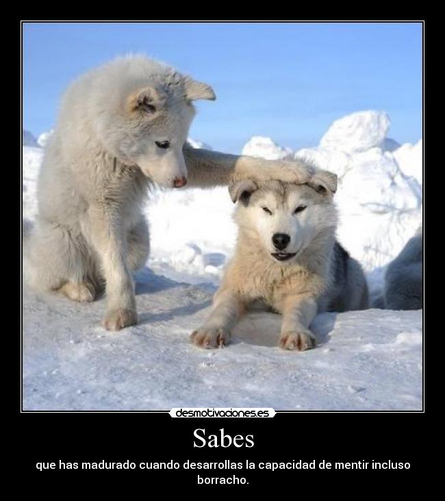 Sabes - que has madurado cuando desarrollas la capacidad de mentir incluso borracho.