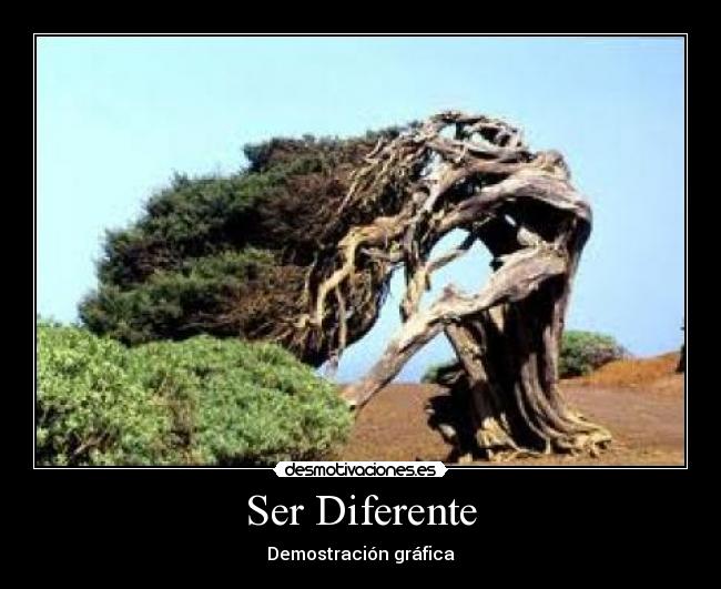 Ser Diferente - Demostración gráfica