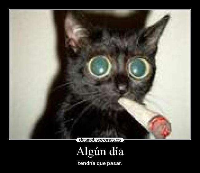Algún día - tendría que pasar.
