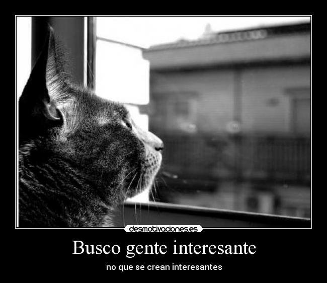 Busco gente interesante -