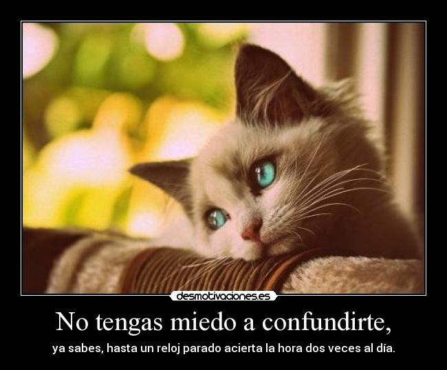 No tengas miedo a confundirte, - 