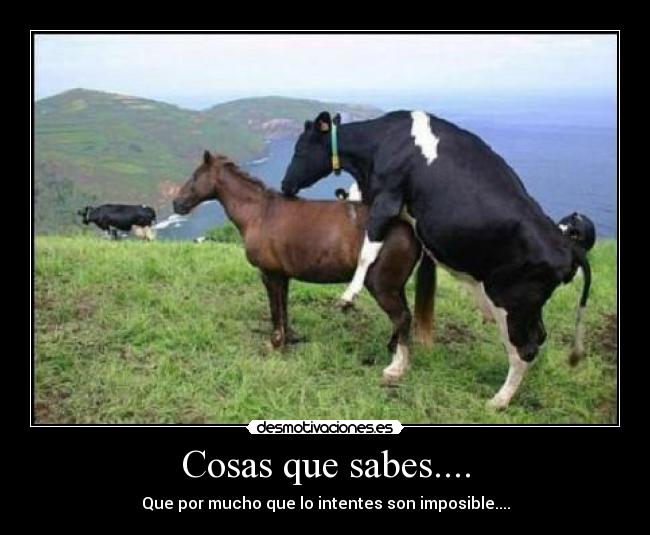 Cosas que sabes.... - Que por mucho que lo intentes son imposible....