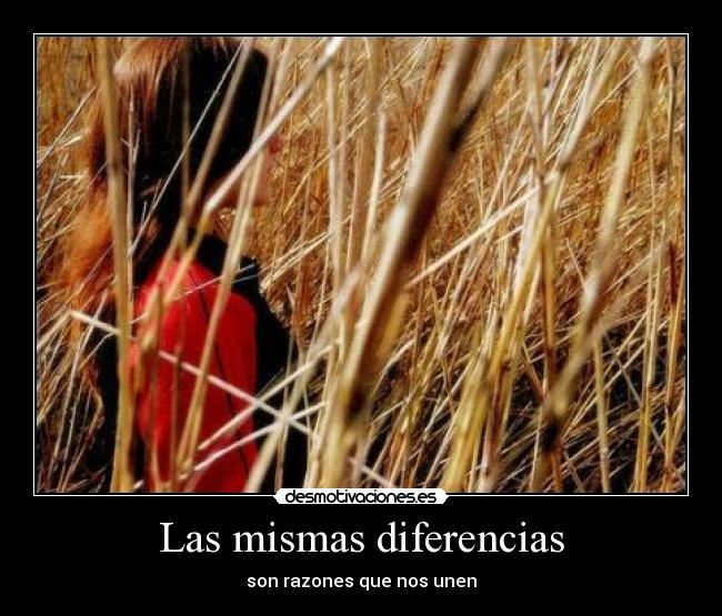 Las mismas diferencias - son razones que nos unen