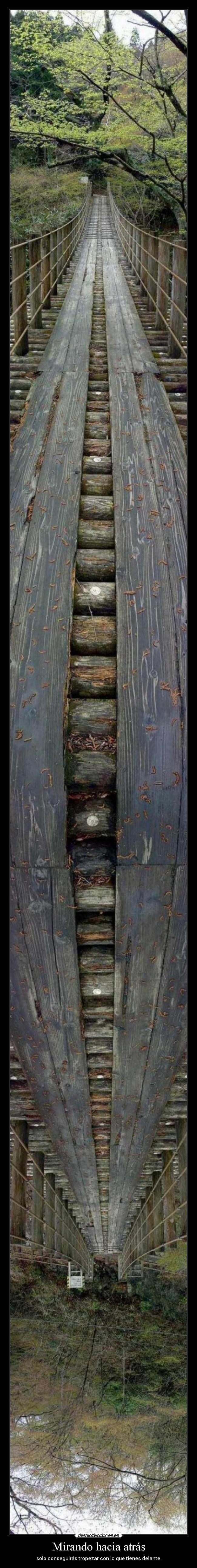 Mirando hacia atrás - 