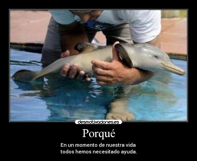 Porqué - En un momento de nuestra vida
todos hemos necesitado ayuda.