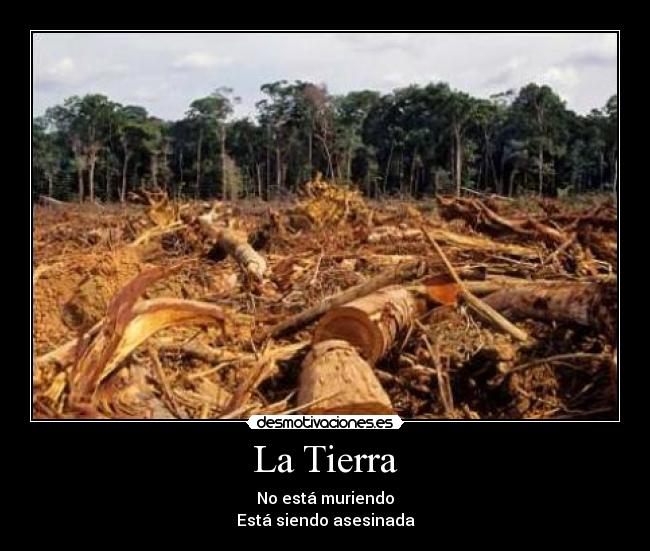 La Tierra - No está muriendo
Está siendo asesinada