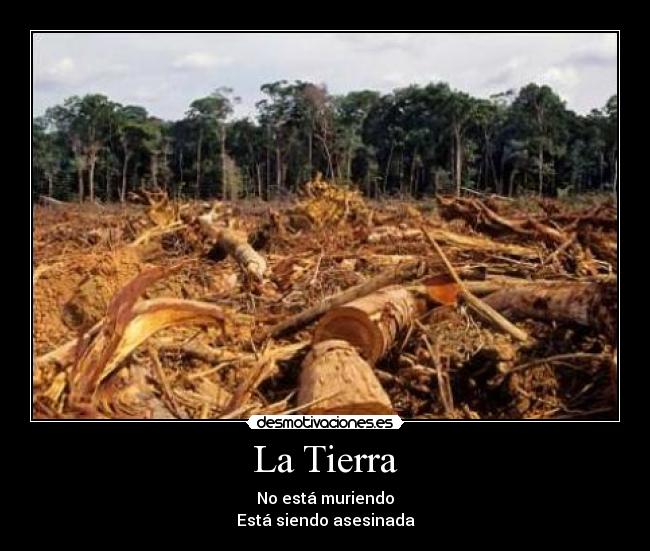 carteles tierra desmotivaciones