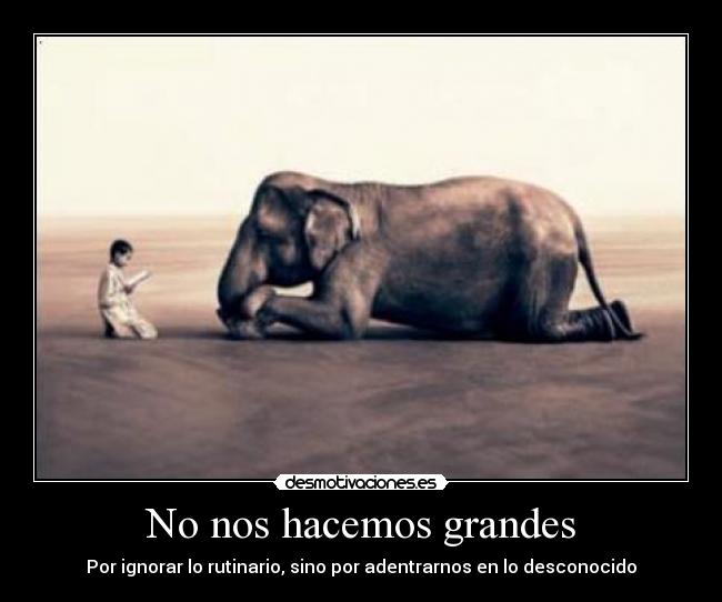 No nos hacemos grandes - 