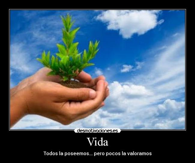 Vida - Todos la poseemos... pero pocos la valoramos