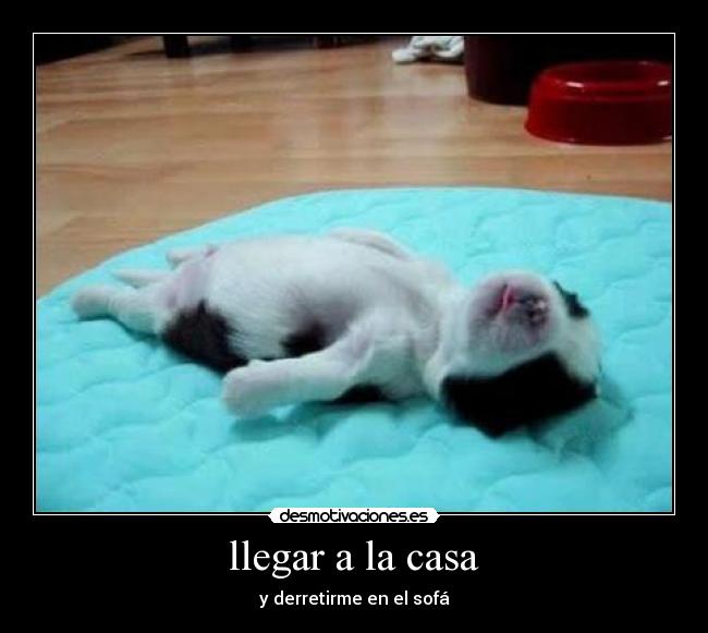 llegar a la casa -