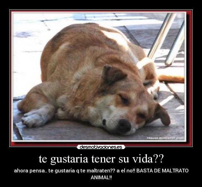 te gustaria tener su vida?? -