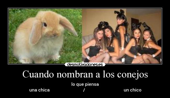Cuando nombran a los conejos - lo que piensa
una chica / un chico