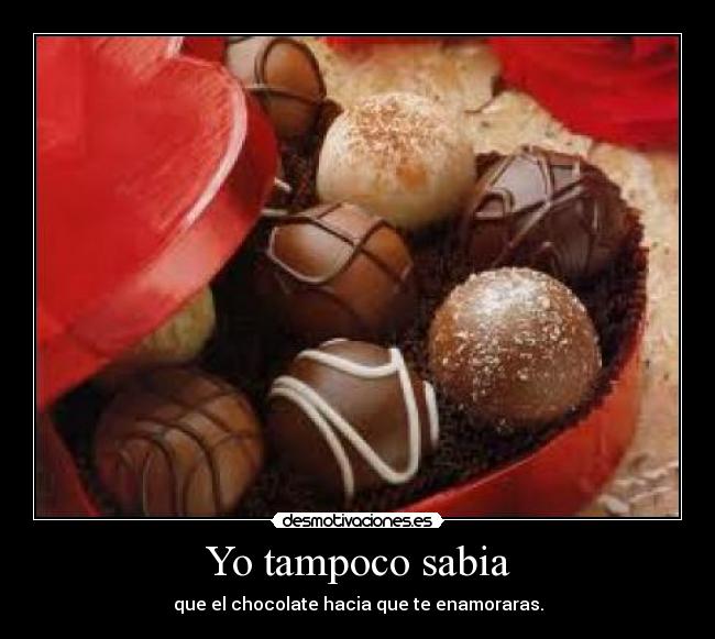Yo tampoco sabia - que el chocolate hacia que te enamoraras.