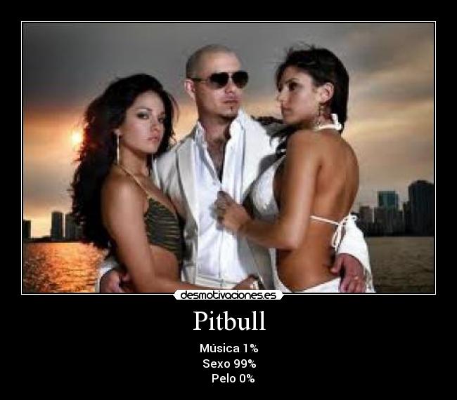 Pitbull - Música 1%
Sexo 99%
   Pelo 0%