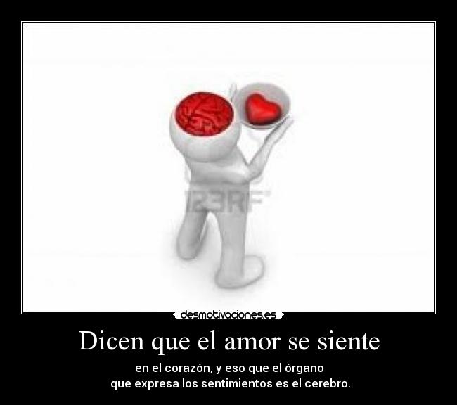 carteles amor cerebro corazon sentimientos amor desmotivaciones