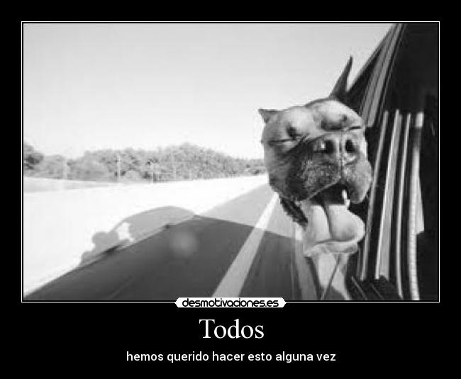 Todos - hemos querido hacer esto alguna vez