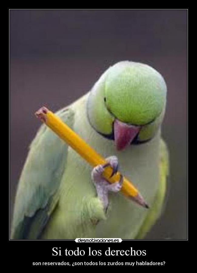 Si todo los derechos - son reservados, ¿son todos los zurdos muy habladores?