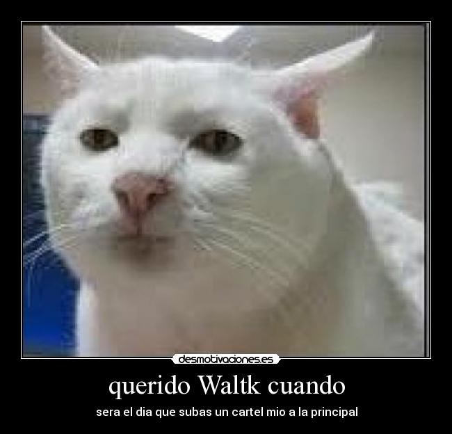 carteles lala desmotivaciones