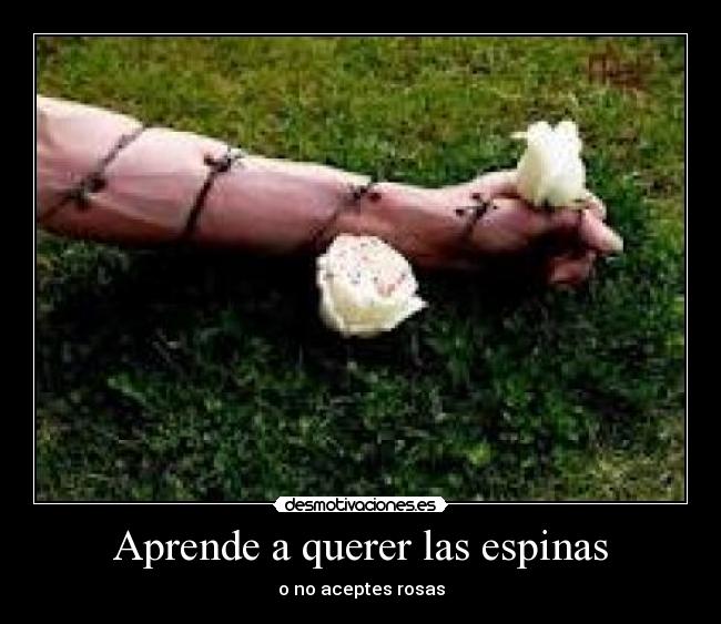 Aprende a querer las espinas - o no aceptes rosas