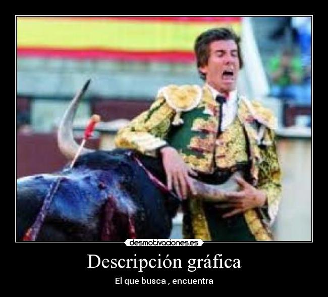 Descripción gráfica -
