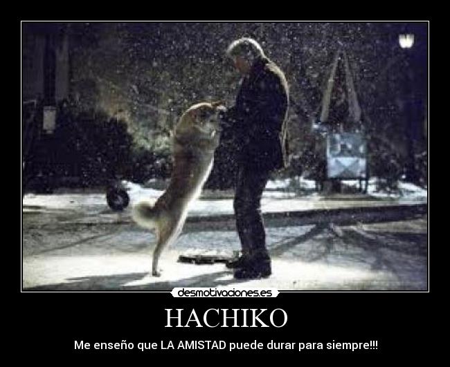 carteles andreina perez desmotivaciones