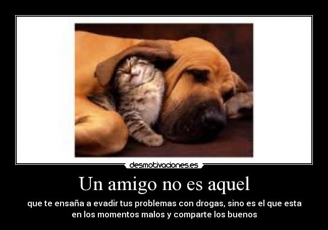 Un amigo no es aquel - que te ensaña a evadir tus problemas con drogas, sino es el que esta
en los momentos malos y comparte los buenos