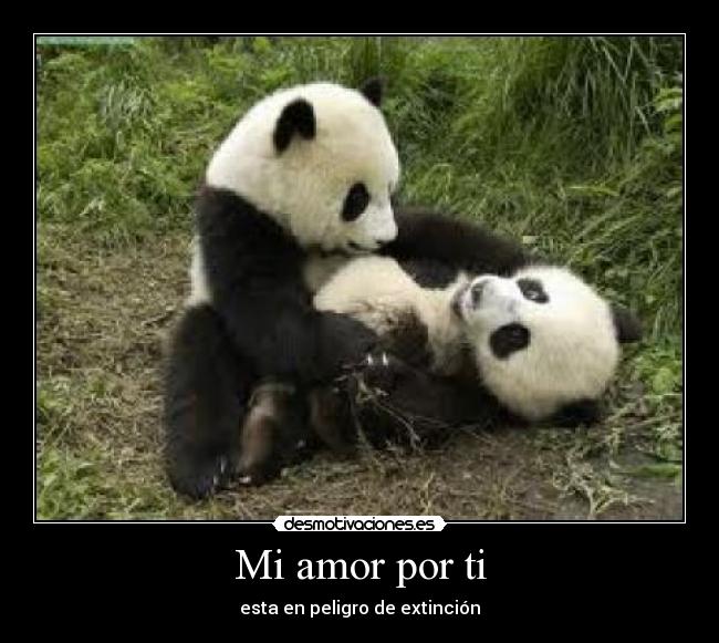 Mi amor por ti - esta en peligro de extinción