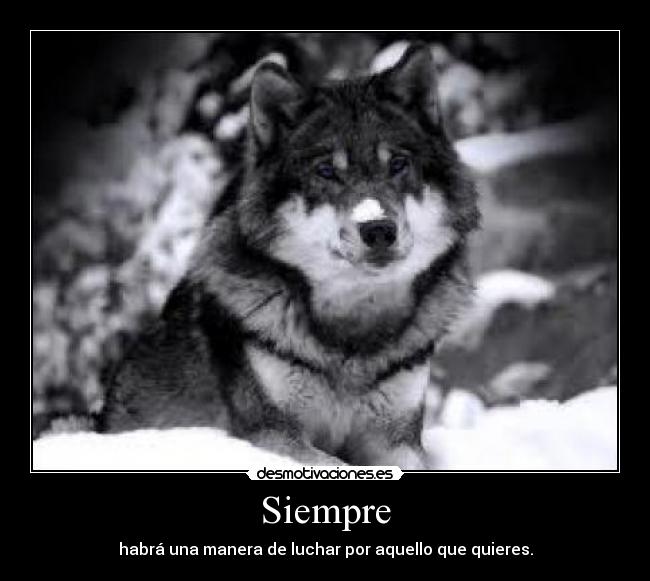 Siempre - habrá una manera de luchar por aquello que quieres.