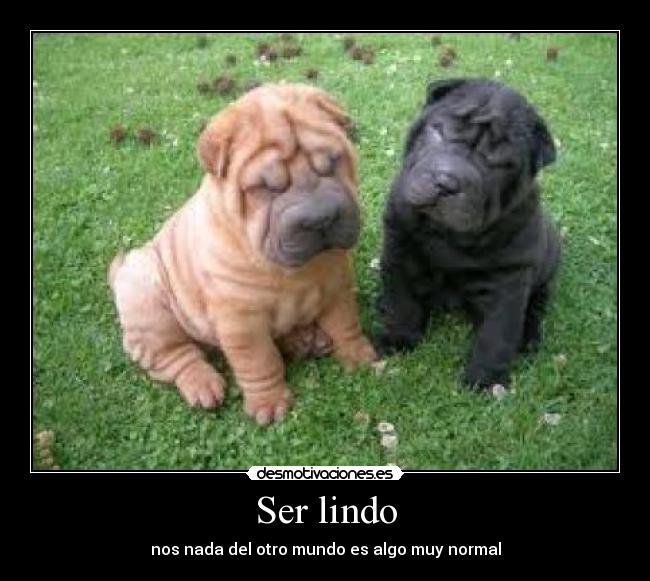 Ser lindo - nos nada del otro mundo es algo muy normal