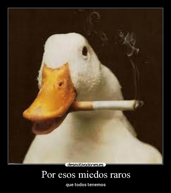 carteles patos malos caca miedos raros desmotivaciones