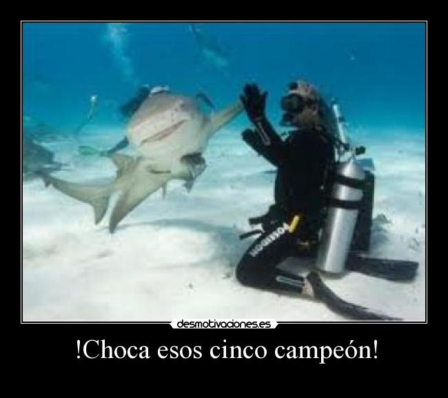 !Choca esos cinco campeón! -