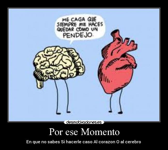 carteles corazon cerebro desmotivaciones