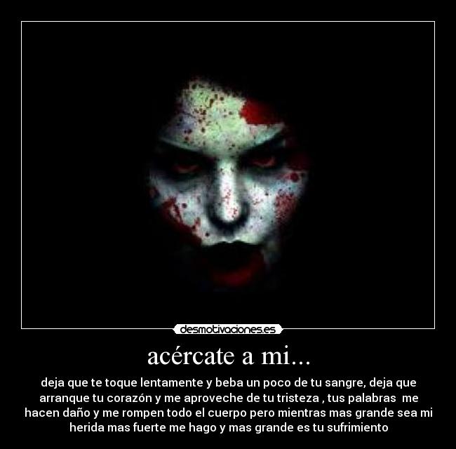 carteles bola soy bola delfinito tambien soy bola desmotivaciones