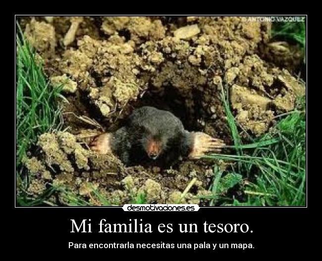 Mi familia es un tesoro. - Para encontrarla necesitas una pala y un mapa.