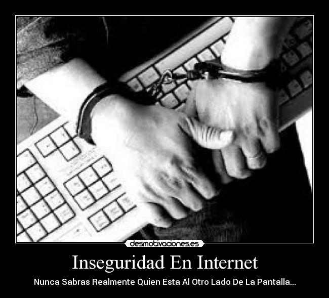 carteles internet delitos informaticos desmotivaciones