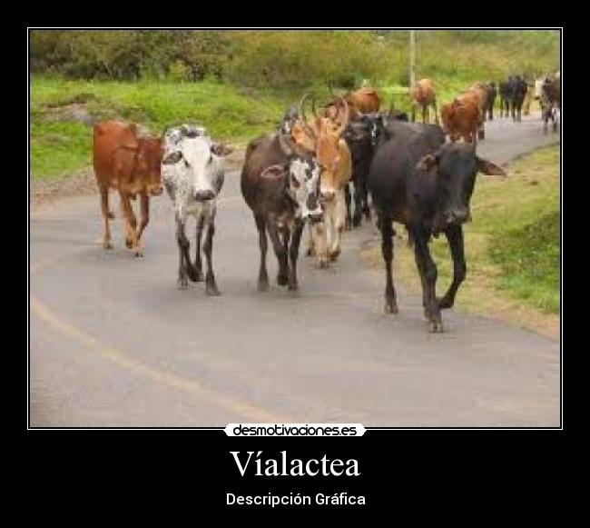 Víalactea - 