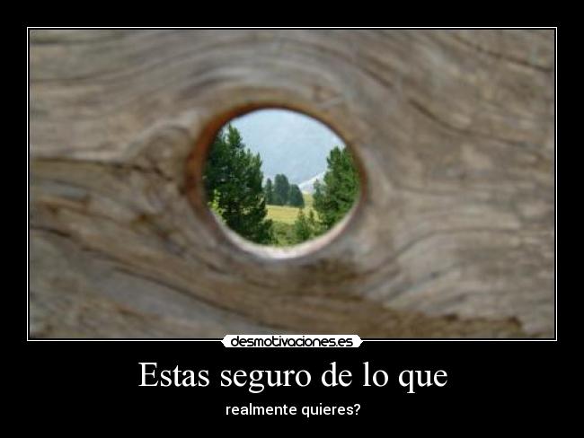 carteles dyna desmotivaciones