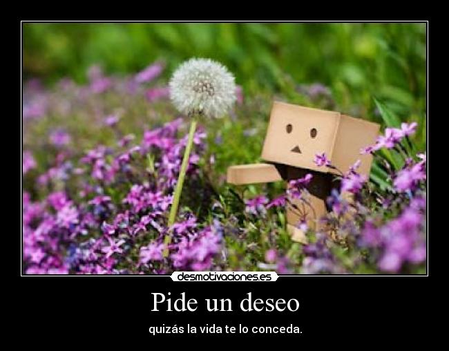 Pide un deseo - quizás la vida te lo conceda.